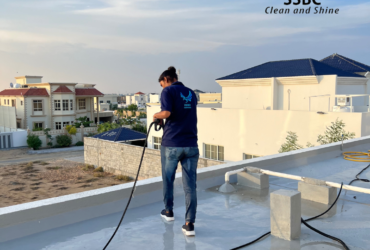 Roof Cleaning (1)